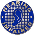 Lapel Pin