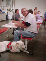 Hands-Free Leash