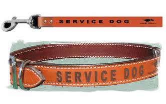 Service Dog Collar and Leash - Leather
