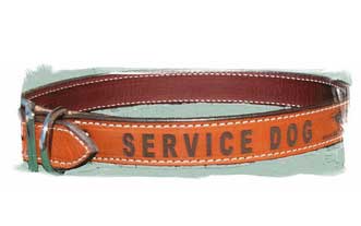 Service Dog Collar - Leather